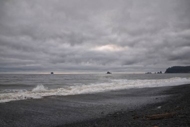 Rialto Sahili plajı ve okyanus adası alacakaranlıkta Olympic National Park, Washington State, ABD 'de görülüyor.. 