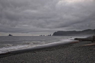 Rialto Beach beach and ocean island views at dusk in Olympic National Park, Washington State, USA.  clipart