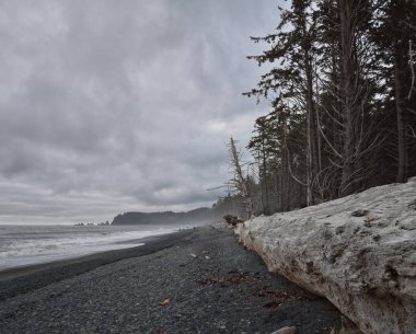 Rialto Beach beach and ocean island views at dusk in Olympic National Park, Washington State, USA.  clipart