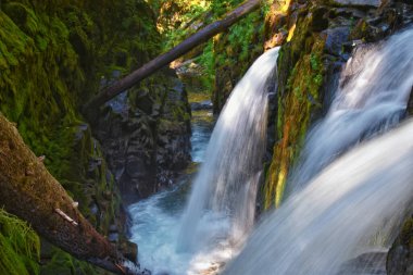 Sol Duc Falls Soleduck Şelalesi 2024 Yaz Olimpiyat Ulusal Parkı, Washington, ABD