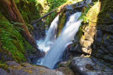 Sol Duc Falls Soleduck Şelalesi 2024 Yaz Olimpiyat Ulusal Parkı, Washington, ABD