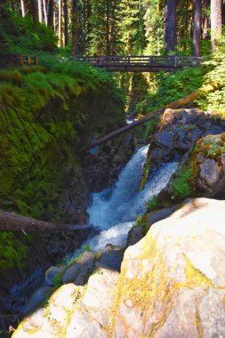 Sol Duc Falls Soleduck waterfall view in summer 2024 Olympic National Park, Washington, United States clipart