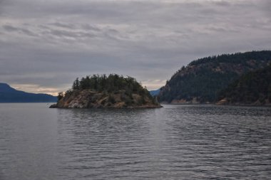 Cuma Limanı ve Orcas Adası Sahne Manzarası bir feribottan San Juan Adaları, Washington, ABD