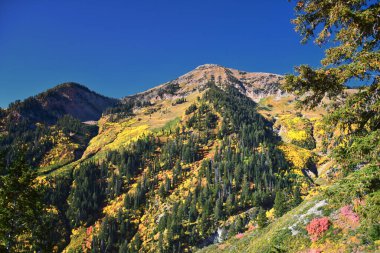 Box Elder Tepesi manzarası yürüyüş parkurundan yukarı bakıyor, American Fork Canyon. Wasatch Sıradağları Rocky Dağları, Utah, ABD.