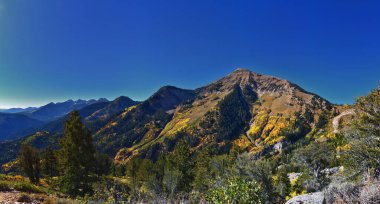 Box Elder Tepesi manzarası yürüyüş parkurundan yukarı bakıyor, American Fork Canyon. Wasatch Sıradağları Rocky Dağları, Utah, ABD.