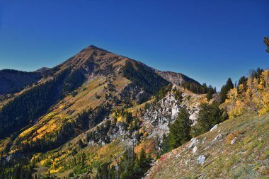 Box Elder Tepesi manzarası yürüyüş parkurundan yukarı bakıyor, American Fork Canyon. Wasatch Sıradağları Rocky Dağları, Utah, ABD.