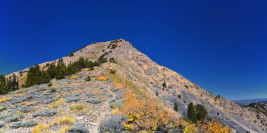 Box Elder Tepesi manzarası yürüyüş parkurundan yukarı bakıyor, American Fork Canyon. Wasatch Sıradağları Rocky Dağları, Utah, ABD.