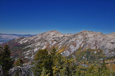 Lone Peak Wilderness, Box Elder Peak yürüyüş parkurundan, Wasatch Range Rocky Dağları, Utah, ABD.