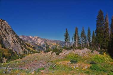Box Elder Peak yürüyüş manzarası, American Fork Canyon 'dan. Lone Peak, Timpanogos Dağı, Wasatch Sıradağları Rocky Dağları, Utah, ABD.