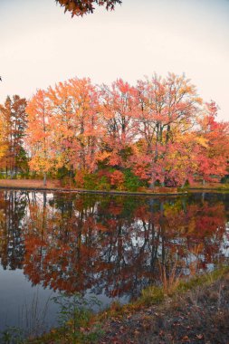 Roger Williams Parkı, Rhode Island, ABD - 10 Ekim 2024 Alacakaranlık Willow Gölü ve Zevk Gölü, ABD