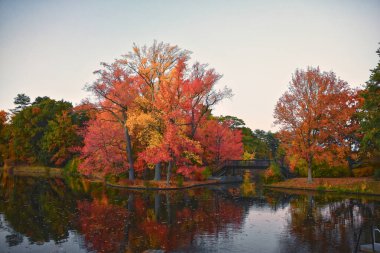 Roger Williams Parkı, Rhode Island, ABD - 10 Ekim 2024 Alacakaranlık Willow Gölü ve Zevk Gölü, ABD