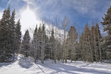 Tibble Fork Kış Fırtınası kar fırtınası Uinta Wasatch Önbellek Ulusal Ormanı, Rocky Dağları, Utah 'ta yürüyüş parkurundan görünüyor. Birleşik Devletler.