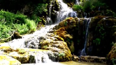 Gently flowing water sweeping over rocks and stones among the greenery 