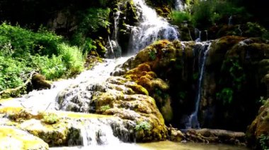 Gently flowing water sweeping over rocks and stones among the greenery 
