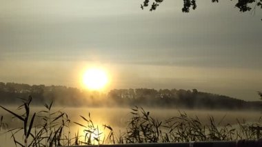 Sabah gölün kenarında sakin bir anı anlatan bir film.