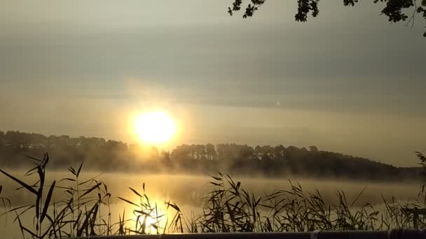 朝の湖の静かな瞬間を描いた映画 — ストック動画
