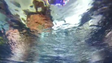 Bu gezegendeki tek deniz ve okyanus canlıları mercanlar, karidesler ve balıklar değil.