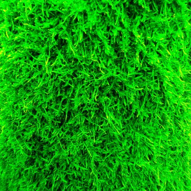 bitki arkaplanı inanılmaz bir grafik yapısı olarak