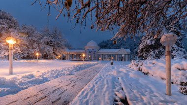 Colonnade (Çekçe Kolonada), Çek Cumhuriyeti 'nin batısındaki ünlü küçük Bohemya spa kasabası Marianske Lazne' nin (Marienbad) merkezi olan Caroline ve Rudolf 'un soğuk maden suyu kaynağı.