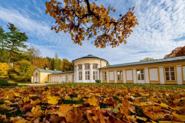 Spa mimarisi - Ferdinand soğuk maden suyu kaynağı sütunu- Çek Cumhuriyeti 'nin (Karlovy Vary bölgesi) batı kesimindeki Marianske Lazne (Marienbad) büyük spa kasabasının parkında sonbahar)