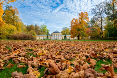 Spa mimarisi - Ferdinand soğuk maden suyu kaynağı sütunu- Çek Cumhuriyeti 'nin (Karlovy Vary bölgesi) batı kesimindeki Marianske Lazne (Marienbad) büyük spa kasabasının parkında sonbahar)