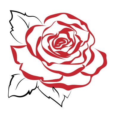 Red rose as black line sketch drawing for design elements for greeting card