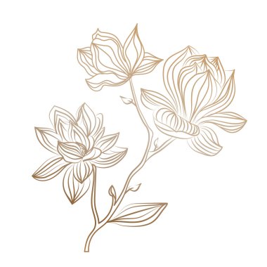 Manolya çiçekli altın dekoratif dal. Düğün tomurcuğu, el yapımı, davetiye için zarif yapraklar. Beyaz arkaplanda çizim ve çizim.