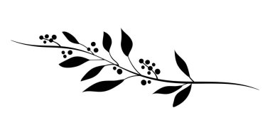 Tek renkli yapraklar ve böğürtlenli zarif dekoratif dalların birleşimi. Düğünler ve tatiller için. Tasarım için dekoratif ögeler.