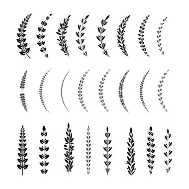 Zeytin yaprağı ve meyveli siyah beyaz defne dalları. Dekor süsü için çerçeve ya da kenar olarak çiçek süsleme bölücülerinin koleksiyonu