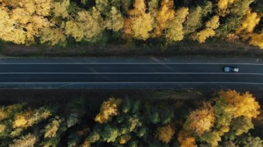 Top down view of a car road in the autumn forest, cars drive along the road in the countryside.