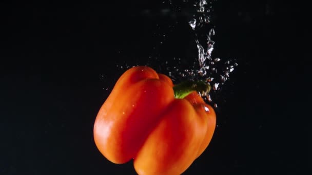 Ripe Red Pepper Falls Water Creating Air Bubbles Black Background — Stok video