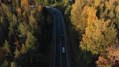 Aerial view of a rural asphalt road with cars in the autumn forest