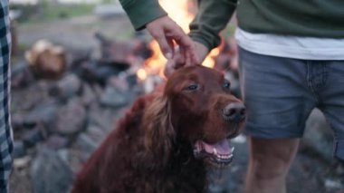 Man and woman stroke fluffy brown dog friend standing against burning bonfire. Young couple enjoys picnic with domestic pet closeup slow motion