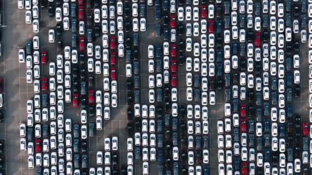 俯瞰着一个拥有新车的巨大停车场 减少需求和减少生产 能源危机 — 图库视频影像