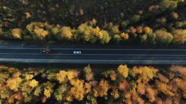 Otomobiller, günbatımında hava görüşünde sarı yapraklarla sonbahar ormanlarında ilerleyen işaretlerle bölgesel gölgeli yol boyunca ilerliyorlar.