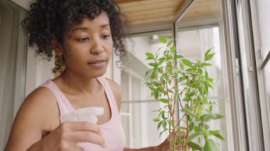 African American woman sprays green leaves of pot-plant growing on balcony at home. Young housewife takes care of plant closeup slow motion