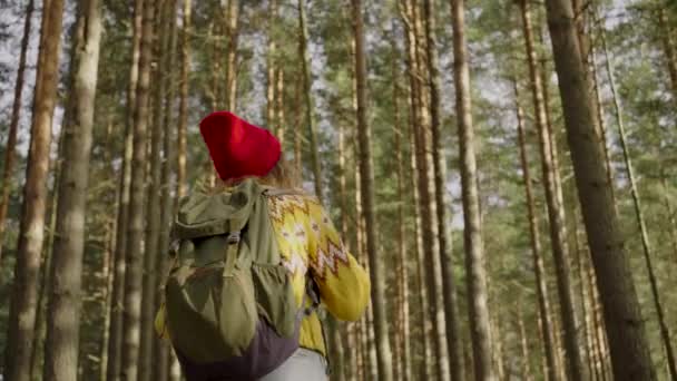 Young Woman Walks Forest Turning Look Tall Trees Sunlight Hiker — Stok video