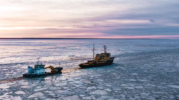 Ледокол Выходит Море Среди Синего Льда Закате Вид Воздуха — стоковое фото