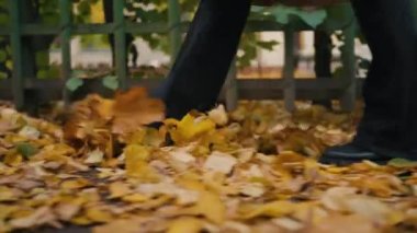 Side view of female legs in black boots and flared jeans walks through the autumn park and crucifies yellow leaves in slow motion