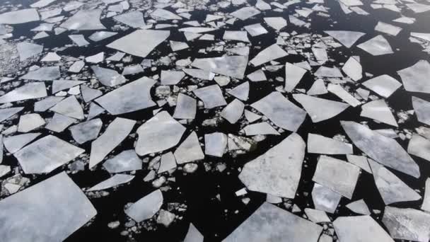 Large Small Broken Floe Parts Floating Dark Calm Water Surface — Video