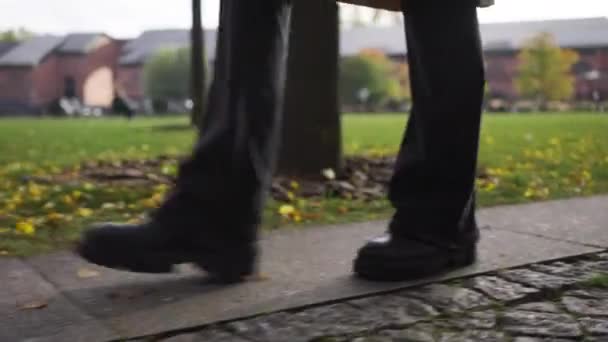 Close Female Legs Black Boots Jeans Walk Path Background Green — Vídeo de Stock