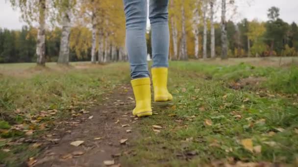 Rear View Camera Follows Womans Legs Yellow Boots Walks Birch — Vídeos de Stock