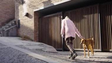 Pembe kürklü şık bir kadın gezgin eski şehrin dar sokaklarında yürüyor ve bir sokak köpeğini besliyor. Kadın serbest yazar, tarihi şehirde yürürken güneşli havanın tadını çıkarıyor.