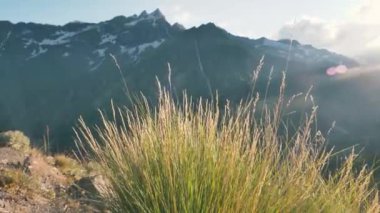 Dikenli çimen çalıları, gün batımında sallanıyor kayalık dağların arka planına yakın, sakin bir yaz manzarası sakin bir akşamda, hafif bir rüzgar esintisi