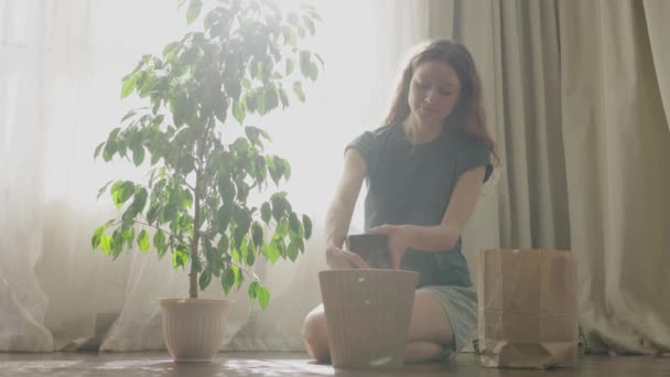 Kadın Evdeki Bir Çiçeğe Elleriyle Karton Bir Kutudan Nakil Yapmak — Stok video