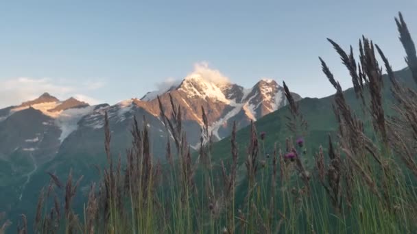 夕日の光の中で氷河と美しい山の上に野生の花や草の揺れ 夏の晴れた日の日没時にコーカサス山脈氷河7の魔法のおとぎ話の風景 — ストック動画