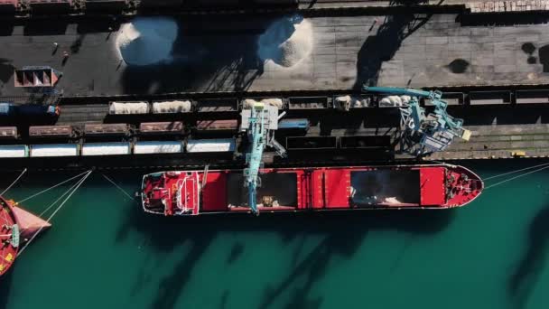 Разгрузка Большого Морского Судна Порту Портовыми Кранами Вид Воздуха Перевозка — стоковое видео