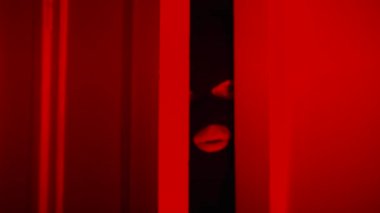 Korkak hırsız polis sireninin kırmızı-mavi ışığının altından dışarı bakar. Hırsızlar içinde komik bir suçlu. Siyah maskeli adam güvenlikten saklanır, odanın kapısını kapatır. 