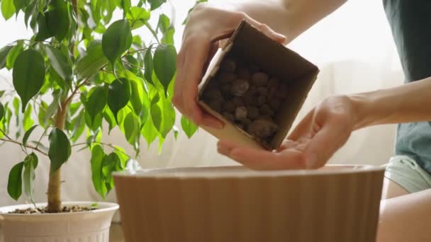Egy Kartondobozból Egy Nagy Edénybe Önti Agyagot Hogy Növényeket Ültessen — Stock videók