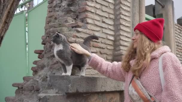 Mujer Feliz Acariciando Gato Gris Callejero Sin Hogar Mientras Camina — Vídeos de Stock